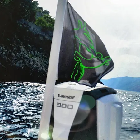 보트호텔 Greengoose