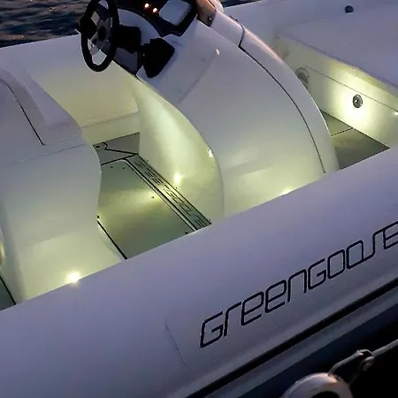 Greengoose * 나폴리